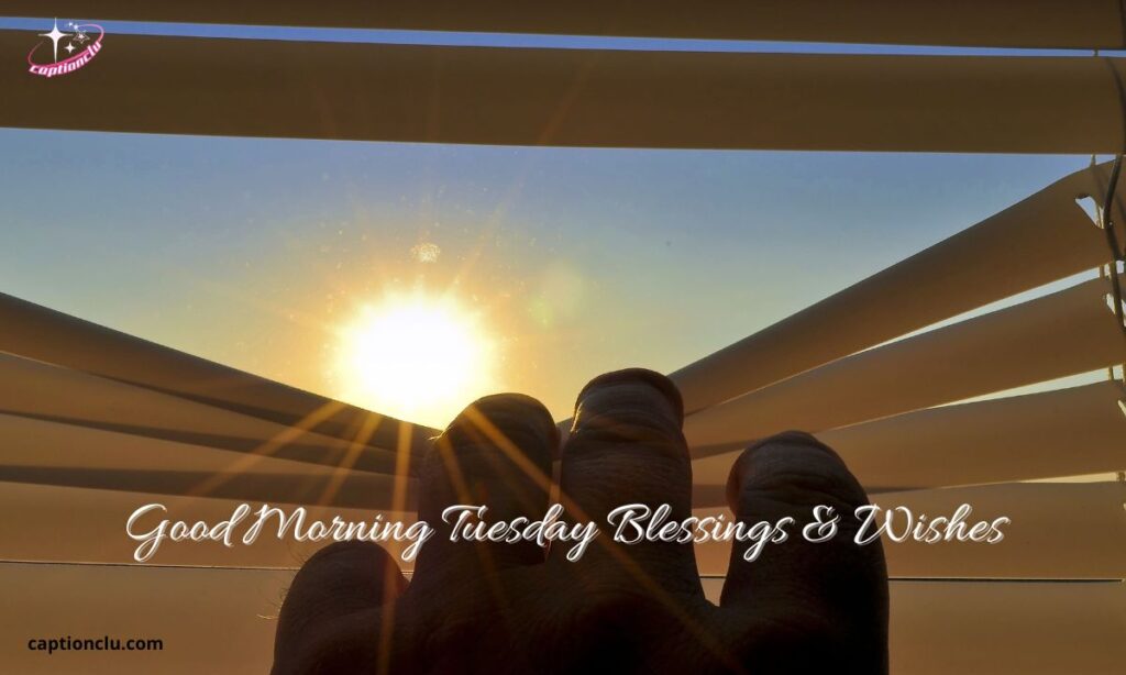 Good Morning Tuesday Blessings & Wishes