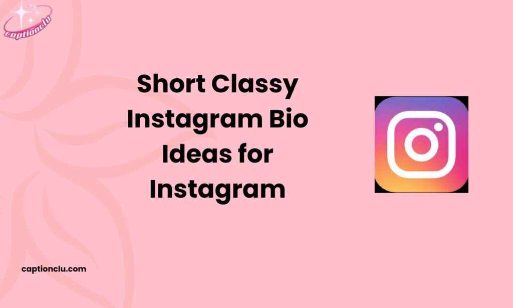 Short Classy Instagram Bio Ideas for Instagram