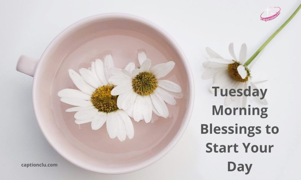 Tuesday Morning Blessings to Start Your Day