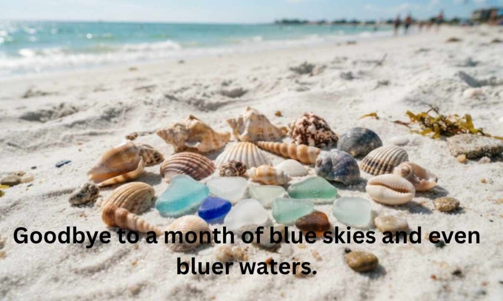 Goodbye July Beach Captions for Vacation Photos