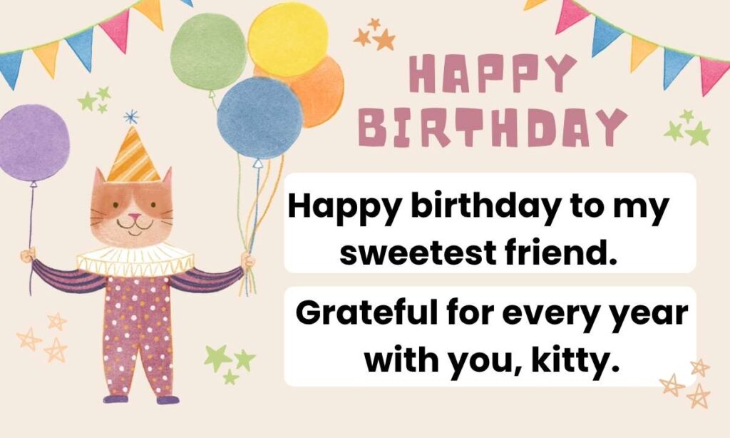 Cat Birthday Captions for Instagram