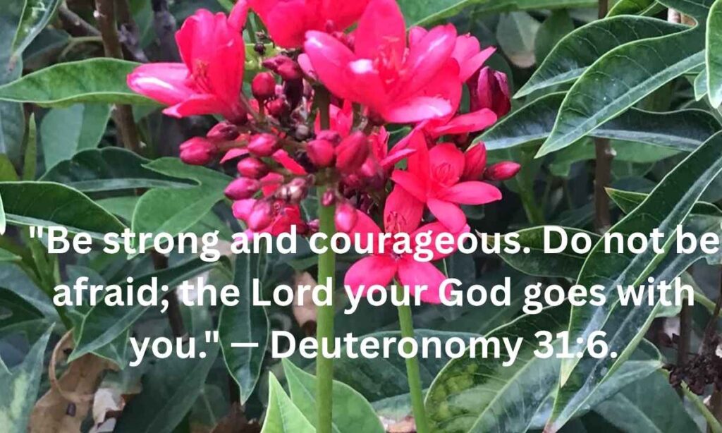 Daily Devotional Guideposts Bible Verse Captions