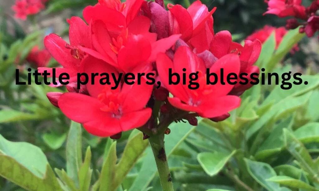 Short Daily Devotional Guideposts Caption