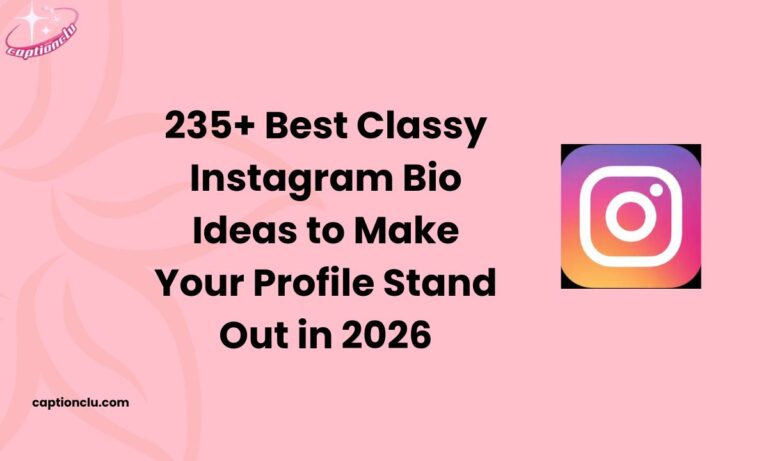 235+ Best Classy Instagram Bio Ideas to Make Your Profile Stand Out in 2026