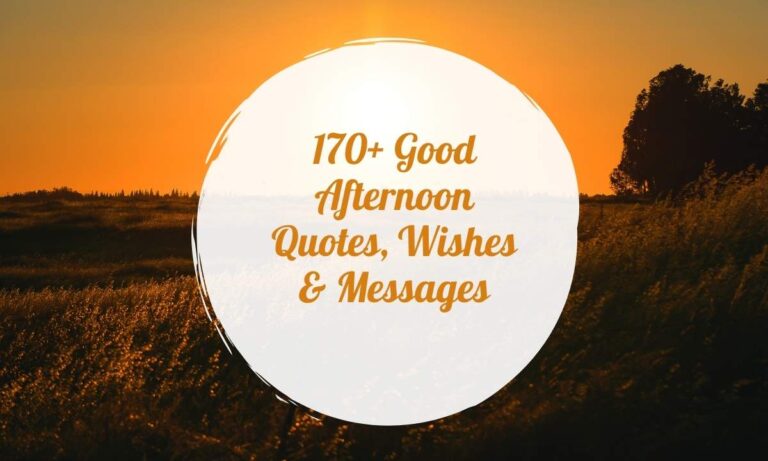 170+ Good Afternoon Quotes, Wishes & Messages