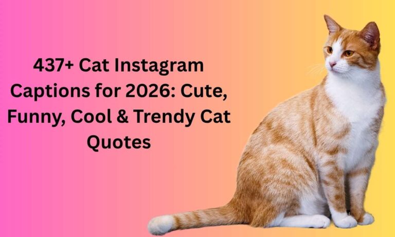 437+ Cat Instagram Captions for 2026 Cute, Funny, Cool & Trendy Cat Quotes